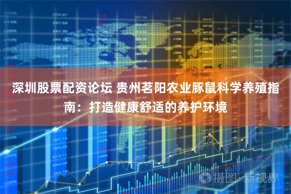 深圳股票配资论坛 贵州茗阳农业豚鼠科学养殖指南：打造健康舒适的养护环境