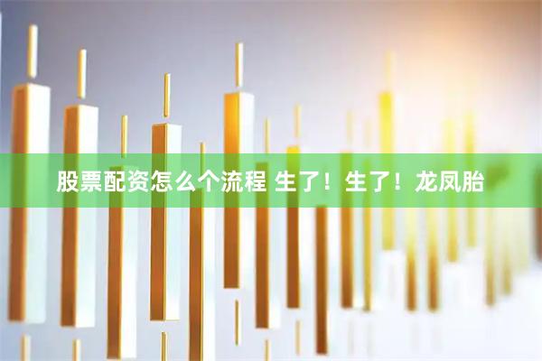 股票配资怎么个流程 生了！生了！龙凤胎