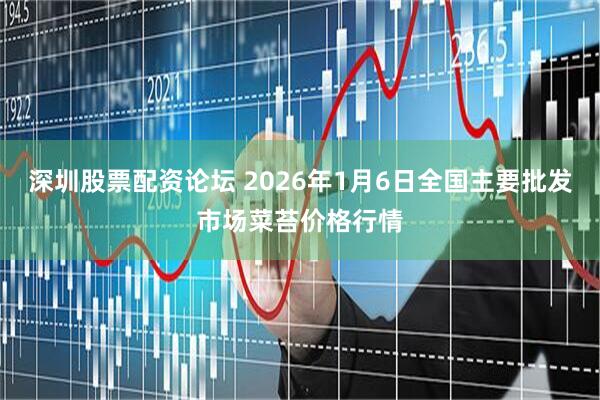 深圳股票配资论坛 2026年1月6日全国主要批发市场菜苔价格行情