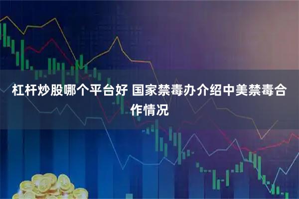 杠杆炒股哪个平台好 国家禁毒办介绍中美禁毒合作情况